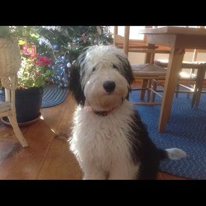 Meet your Posher, Nancy